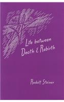 Life Between Death and Rebirth