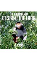 The Endangered Red Shanked Douc Langur