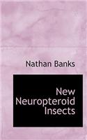New Neuropteroid Insects
