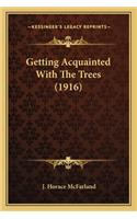 Getting Acquainted With The Trees (1916)