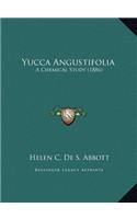 Yucca Angustifolia