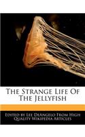 The Strange Life of the Jellyfish