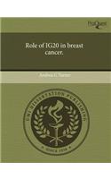 Role of Ig20 in Breast Cancer