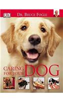 Caring for Your Dog