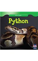 Python