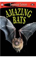 Amazing Bats: (SeeMore Readers S.)