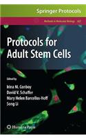 Protocols for Adult Stem Cells