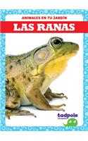 Las Ranas (Frogs)