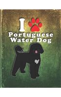 Portuguese Water Dog