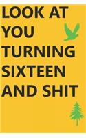 Look at You Turning Sixteen and Shit Notebook Birthday Gift: Lined Notebook/ Journal Gifts,120 pages, 6×9, Soft Cover, Matte Finish