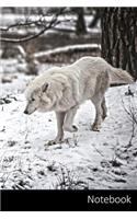 Notebook: Polarwolf, Lobo, Desierto, Blanco Cuaderno / Diario / Libro de escritura / Notas - 6 x 9 pulgadas (15.24 x 22.86 cm), 110 páginas, superficie brilla