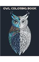 Owl Coloring Book