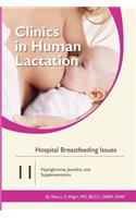 Hospital Breastfeeding Issues