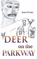 Deer on the Parkway