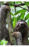 Sloth in a Tree Journal: 150 Page Lined Notebook/Diary