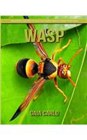 Wasp