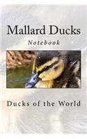 Mallard Ducks: Notebook, 150 Lined Pages, Softcover, 6" x 9"