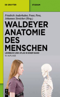 Waldeyer - Anatomie Des Menschen