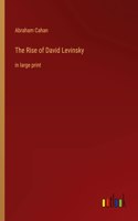 Rise of David Levinsky: in large print
