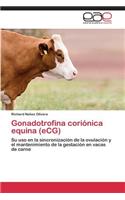 Gonadotrofina coriónica equina (eCG)