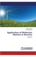 Application of Molecular Markers in Brassica