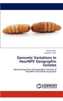 Genomic Variations in HearNPV Geographic Isolates