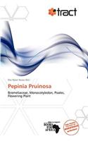 Pepinia Pruinosa