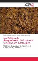 Morfología de Sargassum. Arribazones y cultivo en Costa Rica
