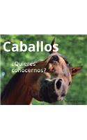 Caballos