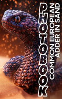 Common European Adder In Sand Photo Book: 40 Stunning Images Capturing The Beauty Of European Adders In Their Natural Habitat