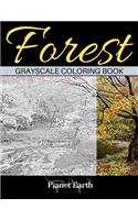 Forest Grayscale Coloring Book