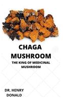 Chaga Mushroom