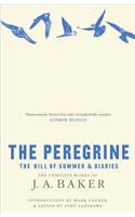 The Peregrine