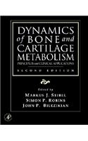 Dynamics of Bone and Cartilage Metabolism