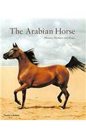 The Arabian Horse