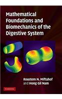 Mathematical Foundations and Biomechanics of the Digestive System