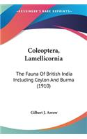 Coleoptera, Lamellicornia