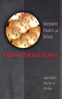 How China Grows