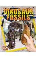 Dinosaur Fossils