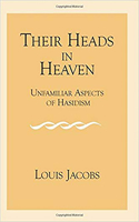 Their Heads in Heaven: V. 2: Unfamiliar Aspects of Hasidism