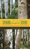 Speaking Through the Aspens: Basque Tree Carvings in California and Nevada