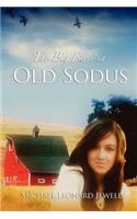 Big Farm in Old Sodus