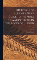 Fossils of Illinois, a Brief Guide to the More Common Fossils in the Rocks of Illinois; 11