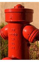 Red Fire Hydrant in the Grass Journal: Take Notes, Write Down Memories in this 150 Page Lined Journal
