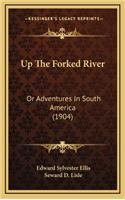 Up the Forked River