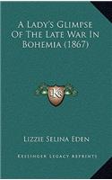 A Lady's Glimpse of the Late War in Bohemia (1867)