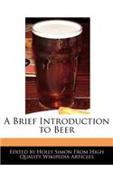 A Brief Introduction to Beer