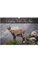 Climbing with the Ibex 2017