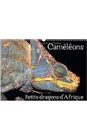 Cameleons - Petits Dragons D'afrique. 2017