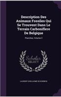 Description Des Animaux Fossiles Qui Se Trouvent Dans Le Terrain Carboniflere de Belgique: Planches, Volume 2